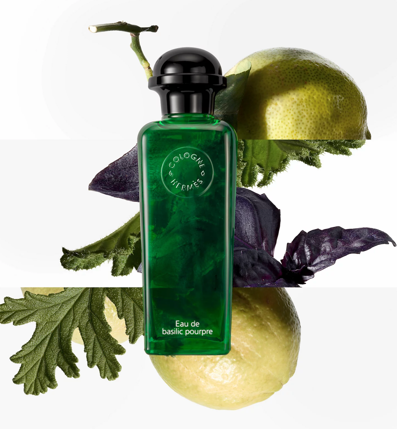 HERMES EAU DE BASILIQUE POURPRE EDC